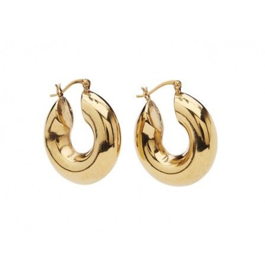 Accessories Pico Oreringe | Pico Mara Chunky Hoops Q01016 Fg, Goldplated